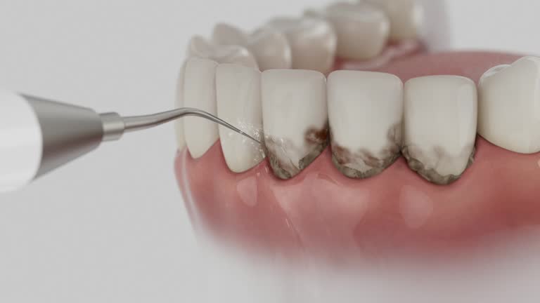 Reliable Dental contractor in Burnet, TX by Dentist Open Now
